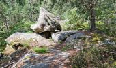 Tocht Stappen Fontainebleau - Fontainebleau sentier Denecourt Colinet 4 - Photo 3