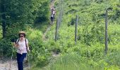 Tour Nordic Walking Coye-la-Forêt - Marche sportive Coye - Photo 1