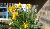 Trail Walking Saint-Pierre-des-Fleurs - 20220308-St Pierre des Fleurs - Photo 10