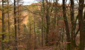 Trail Walking Stavelot - 20201110 - Coo 7.5 Km - Photo 20