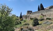 Tour Wandern Rochefort-en-Valdaine - Citelle Rochefort en Valdaine 8km5 - Photo 2