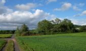 Tour Zu Fuß Hasselroth - Spessartspuren - Niedermittlauer Berkopp Runde - Photo 5