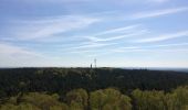 Tour Zu Fuß Krausnick-Groß Wasserburg - Wanderweg Krausnick-Wehlaberg (Ausichtsturm) - Photo 10