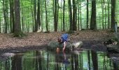 Tour Zu Fuß Raesfeld - Schloß Raesfeld Rundweg A1 - Photo 10