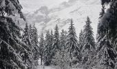 Randonnée Raquettes à neige Champagny-en-Vanoise - pralongnan - Photo 3
