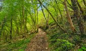 Trail Walking Houyet - Balade autour du Château de Vêves - Celles - Photo 15