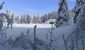 Excursión Raquetas de nieve La Pesse - L'Embossieux - Crêt de Nerbier  - Photo 7