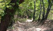 Randonnée Marche Crillon-le-Brave - combe obscure via carrière d´ocre - Photo 20