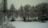 Trail On foot Denzlingen - Denzlingen - Furtwangen - Photo 2