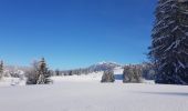 Trail Cross-country skiing Mijoux - Les louvatieres en coupant par le passage des dames - Photo 3
