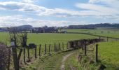 Tocht Stappen Blieberg - A la découverte de Hombourg et ses environs  - Photo 9