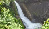 Tocht Stappen Blumberg - Cascade Schleifenbach et gorges de Wutach - Photo 4