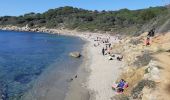 Excursión Senderismo La Croix-Valmer - Cap Lardier et Cap Taillat -  Boucle - Photo 2