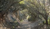 Trail  Hyères - GIENS - Photo 1