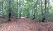 Tour Nordic Walking Prades-d'Aubrac - SityTrail - Sentier thématique de Brameloup - Photo 13