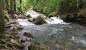 Tour Wandern Montriond - Lac de Montrillon  sous la pluie - Photo 7