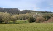 Excursión Senderismo Theux - franchimont . s'assoir . chinru . saserotte . franchimont - Photo 2