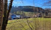 Tocht Stappen Vieux-Moulin - Circuit: Vieux-Moulin - Ortomont Bourg- Menil de Senones- Vieux-Moulin - Photo 6