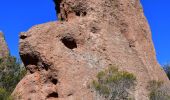 Tour Wandern Bagnols-en-Forêt - Parking sur D47 - La Forteresse - Col de la Pierre à Coucou - Gorges du Blavet  - Photo 5