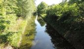 Tour Zu Fuß Am Mellensee - Moke-Notte Rundweg - Photo 1