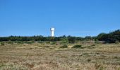 Tocht Stappen Barbâtre - jeun rando J1 Baratre - Photo 2