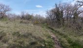 Trail Walking Puy-Saint-Martin - Puy-Saint-Martin - Crête de Chevrière - La Pigne  - Photo 16