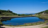 Tour Zu Fuß Labrujó, Rendufe e Vilar do Monte - Varanda do Coura - Photo 4