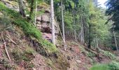 Trail Walking Taintrux - Marche 06-06-22 24km - Photo 9