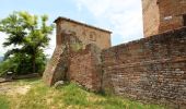 Excursión A pie Certaldo - Dolce campagna, antiche mura 8 - Photo 3