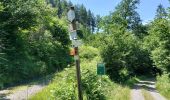 Trail Walking Bièvre - Bellefontaine 250521 - Photo 5