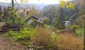 Trail Walking Namur - Jambes citadelle la Plante - Photo 1