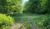 Trail Walking Noroy-sur-Ourcq - en Forêt de Retz_93_05_2022_le Bois de Cresnes - Photo 5