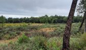 Tocht Stappen Le Cannet-des-Maures - Autour de 