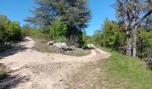 Tour Wandern Flassan - la chapelle St Jean d après le P´tit Craphut - pays du Ventoux Dentelles de Montmirail - Photo 3