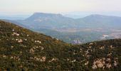 Tour Wandern Solliès-Toucas - SityTrail - siou blanc - Photo 20