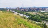 Tocht Stappen Charleroi - La Boucle Noire de Charleroi - Photo 13