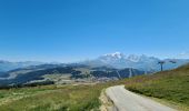 Randonnée Marche Villard-sur-Doron - Les tourbières par le Mont Bisanne et les Saisies  - Photo 2