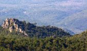 Excursión Senderismo Garéoult - L'Amarron depuis Garéoult - Photo 11