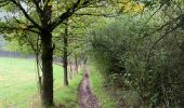 Trail Walking Neupré - Rotheux - Photo 4