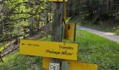Trail Walking Saint-Laurent-du-Pont - Rocher de Pertuis  - Photo 6