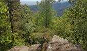 Randonnée Marche Sainte-Marie-aux-Mines - Col du Haut de Ribeauvillé - Rochers des Géants (Rother n°31) - Photo 4