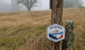 Tocht Stappen Wattwiller - 04-08-23 tour Vosges J4 : Hirtzenstein - Grand Ballon - Photo 4