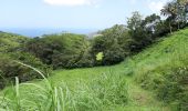 Tour Wandern Le Morne-Vert - Trace Ti Jadin - Photo 12