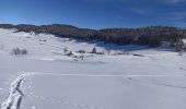 Randonnée Raquettes à neige La Pesse - L'Embossieux-La Croix des couloirs-La Pesse - Photo 12