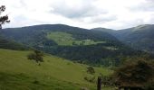 Trail Walking Sondernach - mp sondernach 2019 - Photo 2