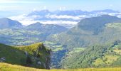 Tocht Stappen Aillon-le-Jeune - MARGERIAZ-02-08-24 - Photo 9