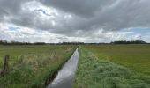 Trail Walking Reimerswaal - Yserke 15 km - Photo 9