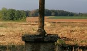 Trail Walking Rouvroy - Torgny boucle sur la transgaumaise - Photo 3