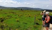 Trail Walking Saugues - live Saugues - Lajo - Photo 11