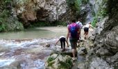 Tour Wandern Omblèze - Chute de la Druise-Ombleze - Photo 8